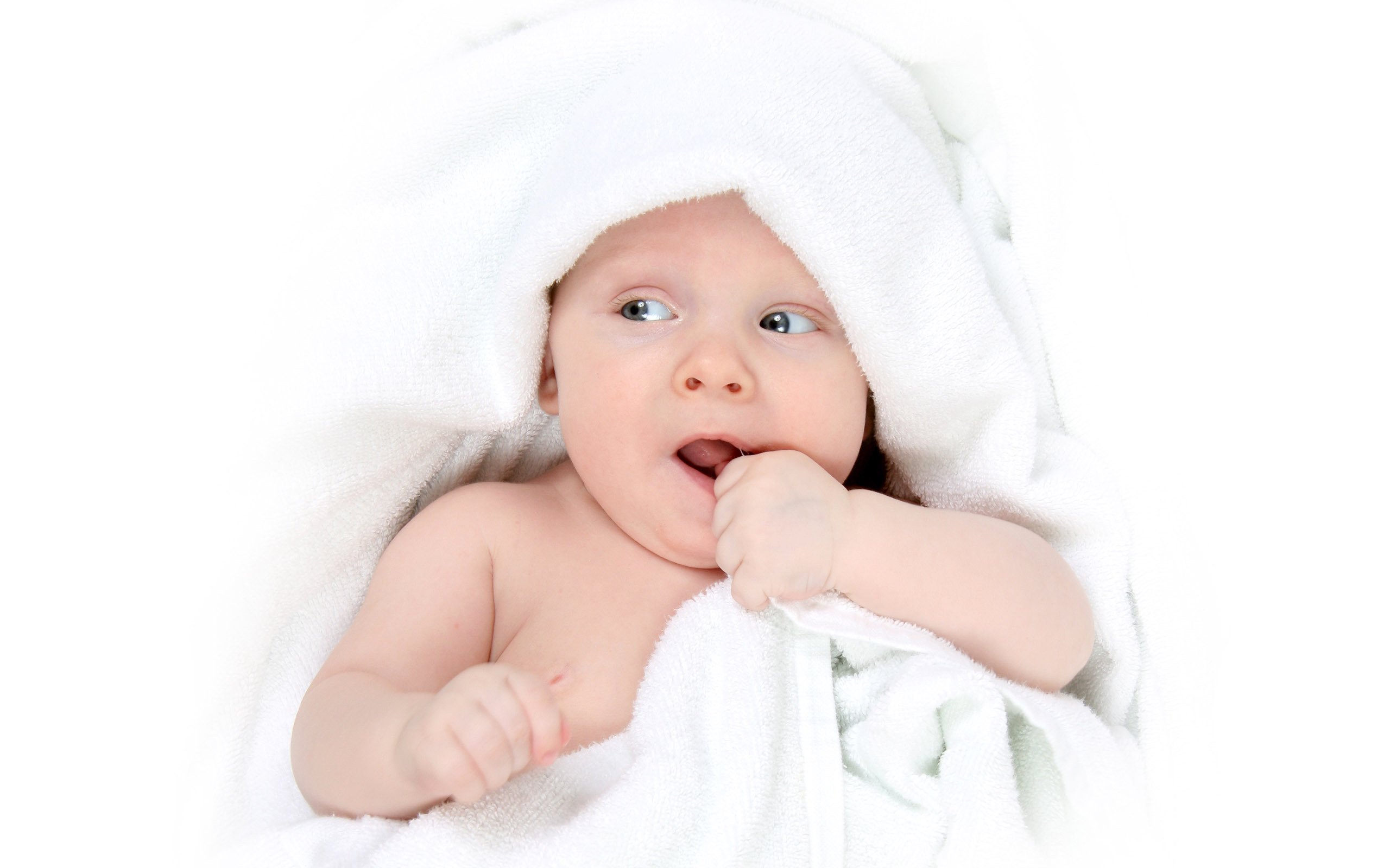 捐卵机构试管婴儿什么时候做成功率高